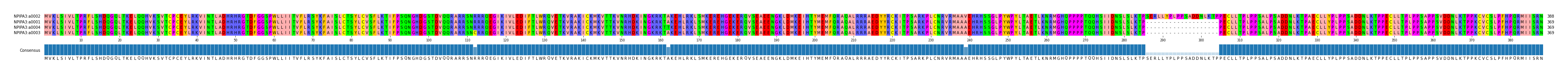 Multiple Alignments (by translate haplotype similarity)