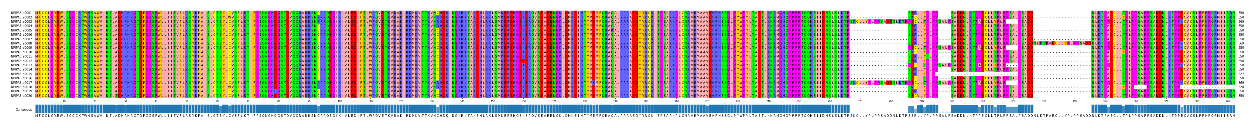 Multiple Alignments (by translate haplotype frequency)