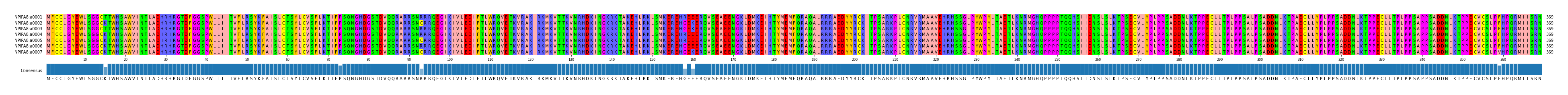 Multiple Alignments (by translate haplotype frequency)