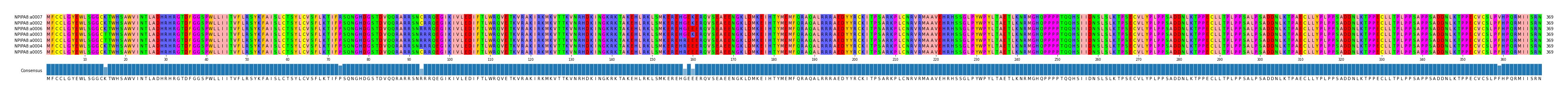 Multiple Alignments (by translate haplotype similarity)
