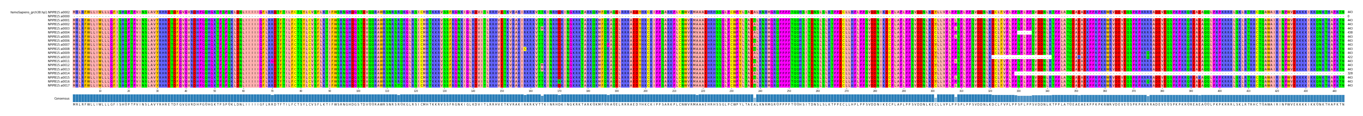 Multiple Alignments (by translate haplotype frequency)