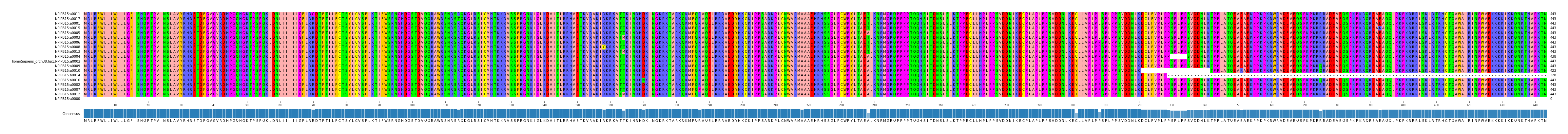 Multiple Alignments (by translate haplotype similarity)