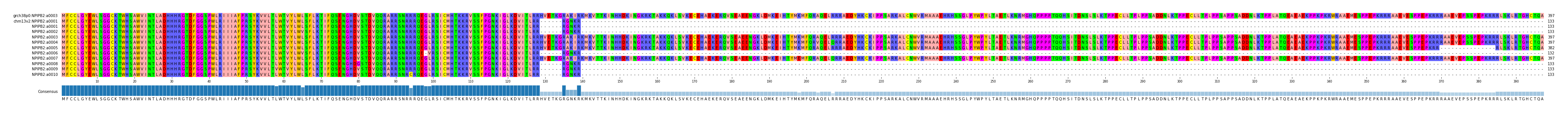 Multiple Alignments (by translate haplotype frequency)