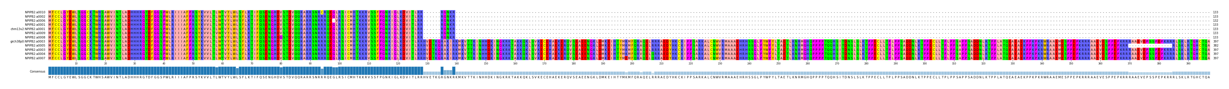 Multiple Alignments (by translate haplotype similarity)