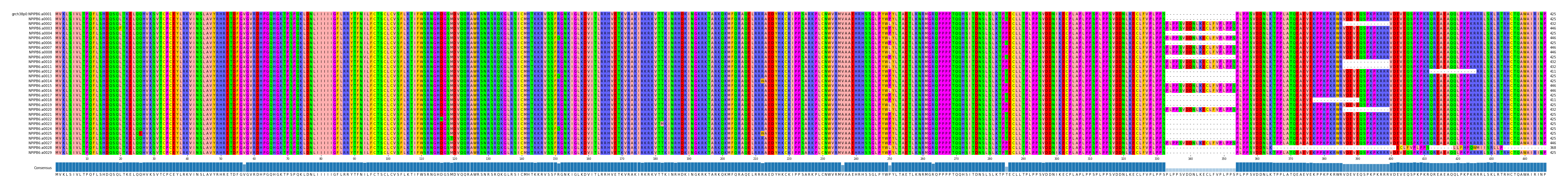 Multiple Alignments (by translate haplotype frequency)