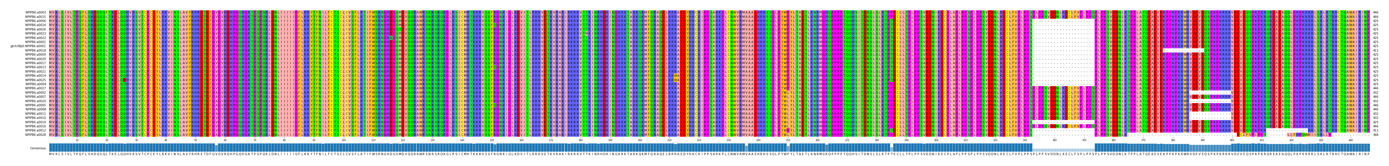 Multiple Alignments (by translate haplotype similarity)