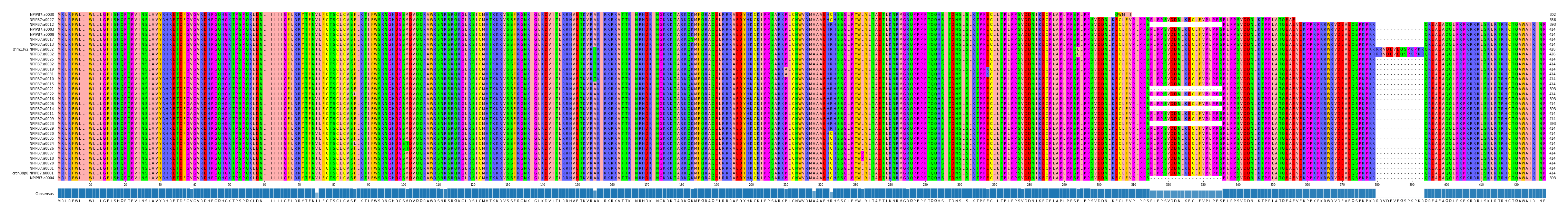 Multiple Alignments (by translate haplotype similarity)