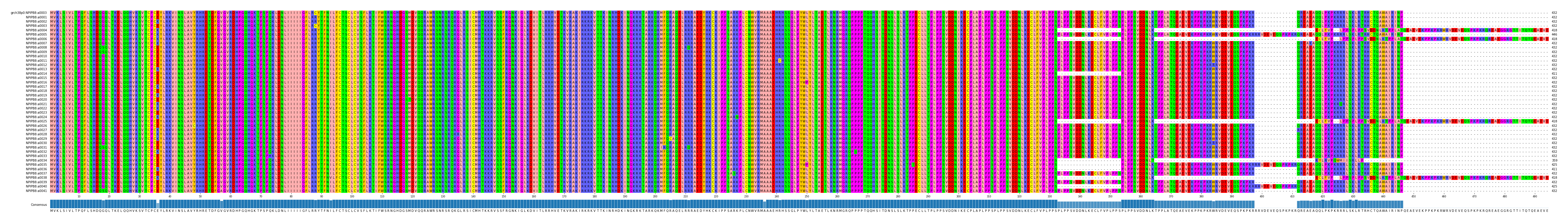 Multiple Alignments (by translate haplotype frequency)
