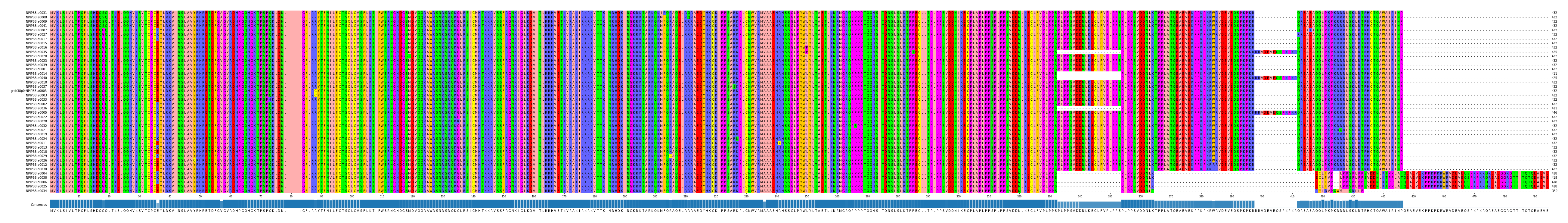 Multiple Alignments (by translate haplotype similarity)