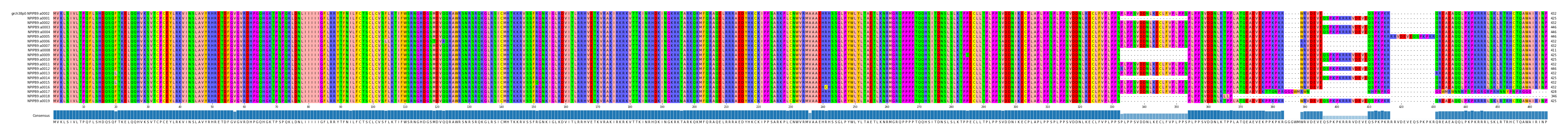 Multiple Alignments (by translate haplotype frequency)