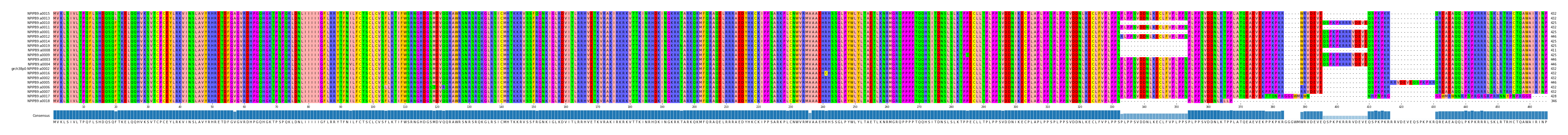 Multiple Alignments (by translate haplotype similarity)