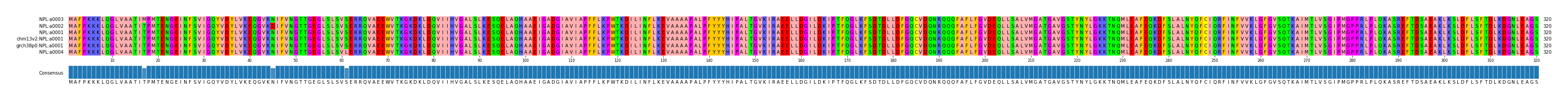 Multiple Alignments (by translate haplotype similarity)
