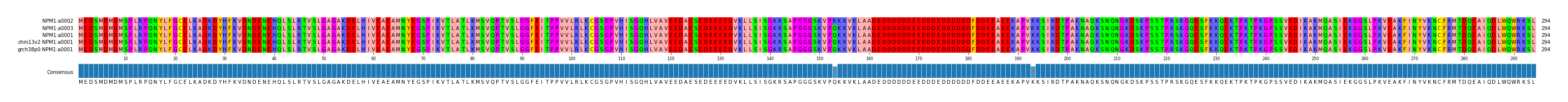 Multiple Alignments (by translate haplotype similarity)