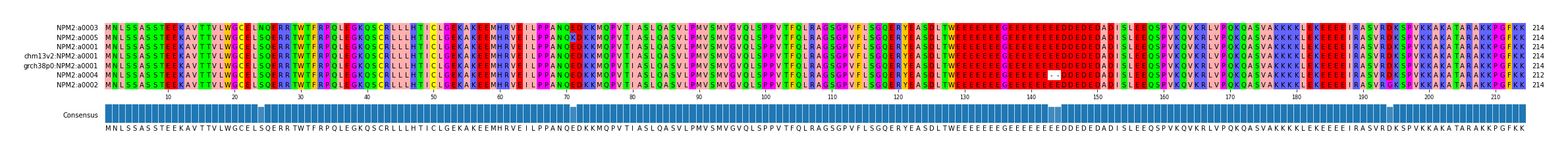 Multiple Alignments (by translate haplotype similarity)