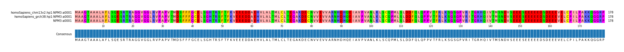 Multiple Alignments (by translate haplotype similarity)