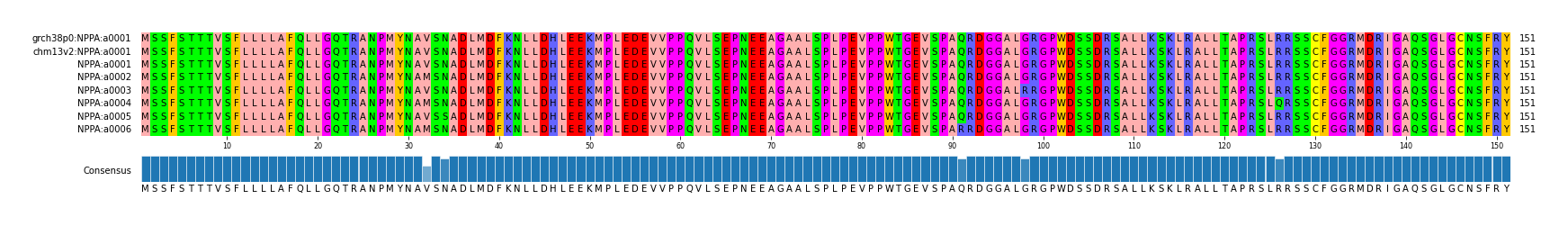 Multiple Alignments (by translate haplotype frequency)