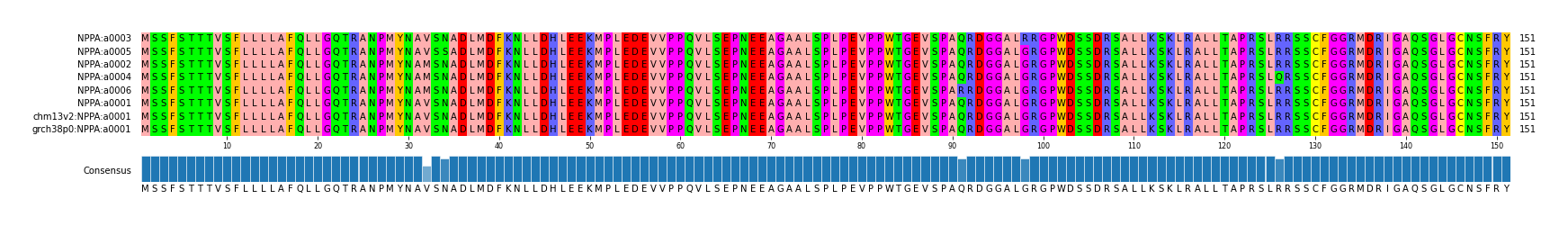Multiple Alignments (by translate haplotype similarity)