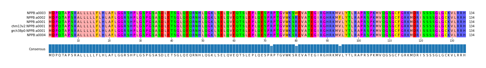 Multiple Alignments (by translate haplotype similarity)