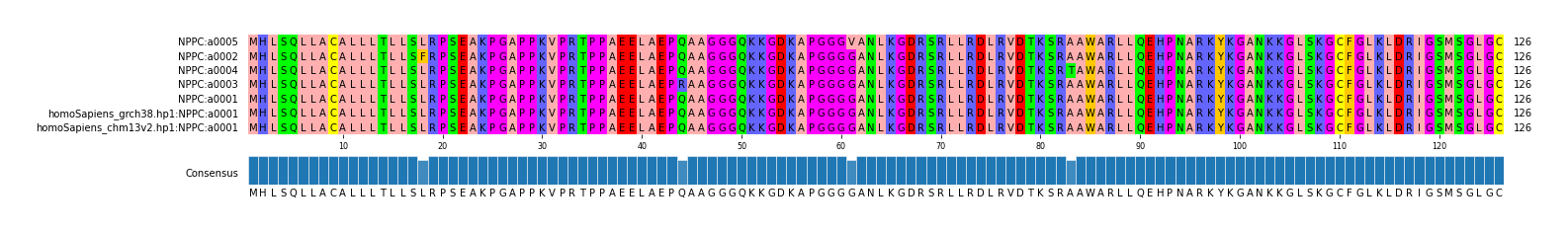 Multiple Alignments (by translate haplotype similarity)