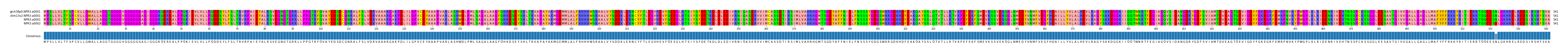 Multiple Alignments (by translate haplotype similarity)