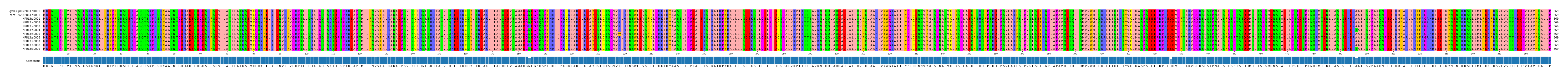 Multiple Alignments (by translate haplotype frequency)