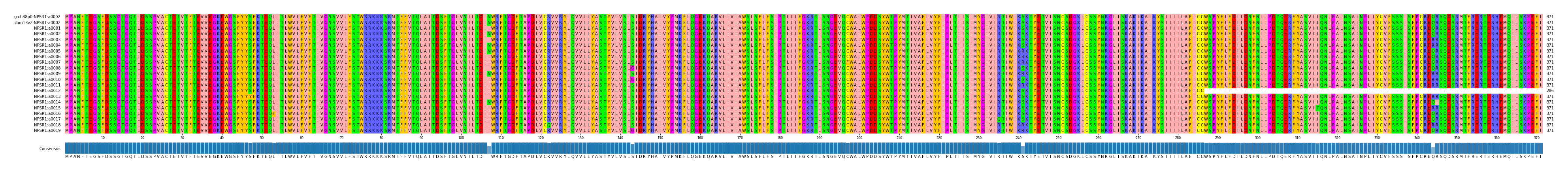 Multiple Alignments (by translate haplotype frequency)