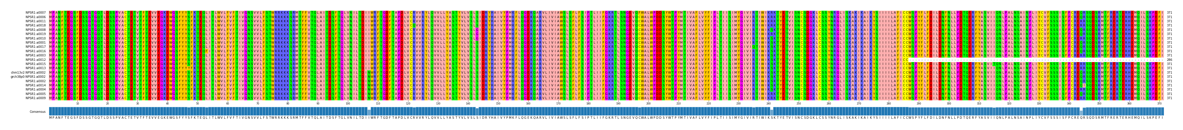 Multiple Alignments (by translate haplotype similarity)