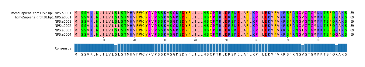 Multiple Alignments (by translate haplotype frequency)