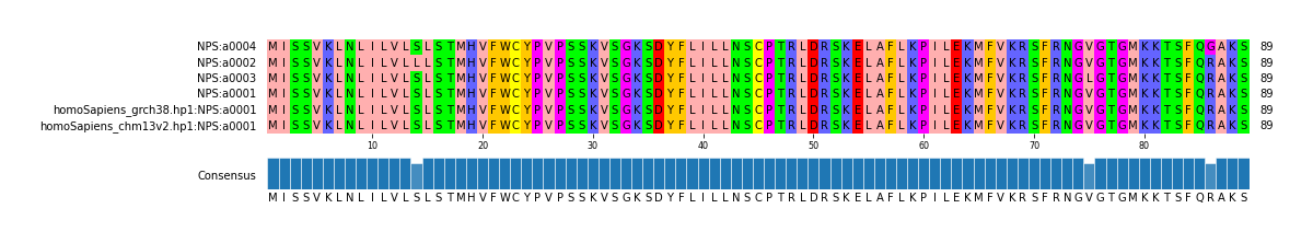 Multiple Alignments (by translate haplotype similarity)