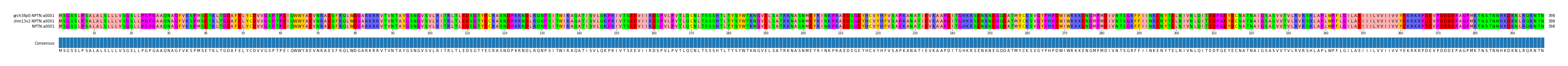 Multiple Alignments (by translate haplotype frequency)