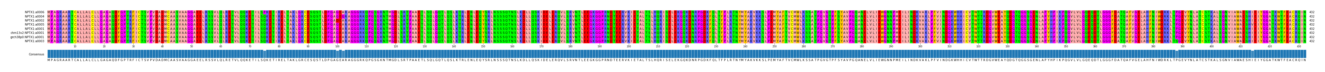 Multiple Alignments (by translate haplotype similarity)