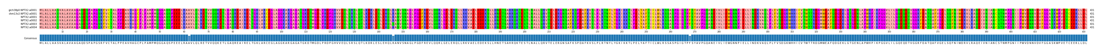 Multiple Alignments (by translate haplotype frequency)