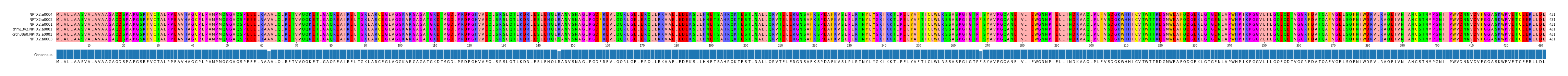 Multiple Alignments (by translate haplotype similarity)