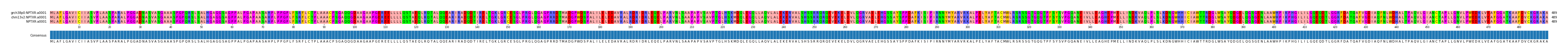 Multiple Alignments (by translate haplotype similarity)