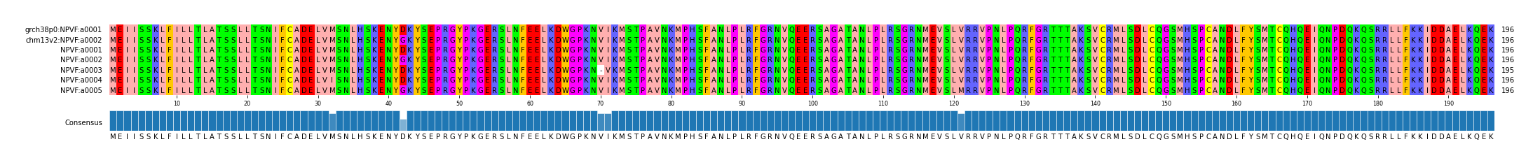 Multiple Alignments (by translate haplotype frequency)