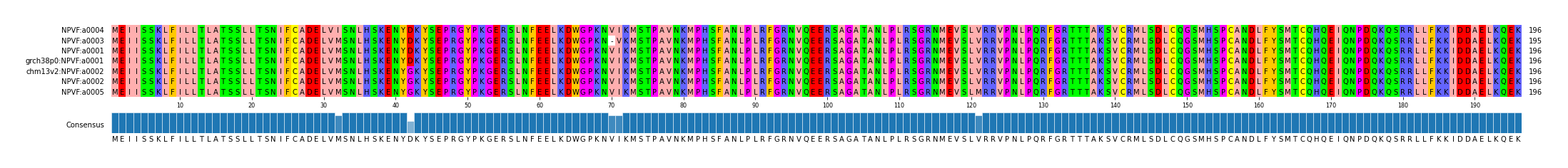 Multiple Alignments (by translate haplotype similarity)