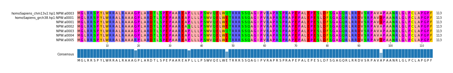 Multiple Alignments (by translate haplotype frequency)