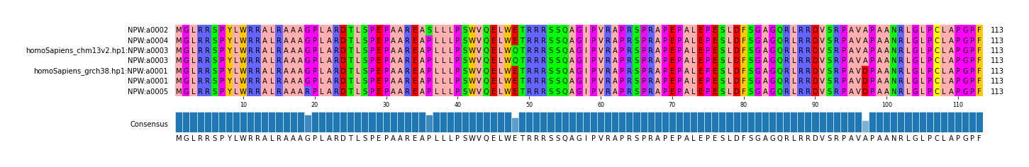Multiple Alignments (by translate haplotype similarity)