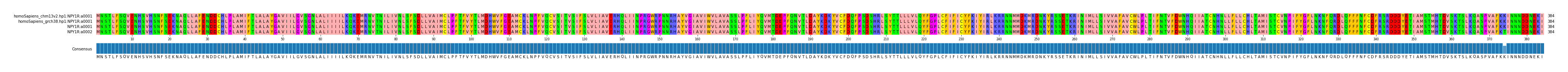 Multiple Alignments (by translate haplotype similarity)
