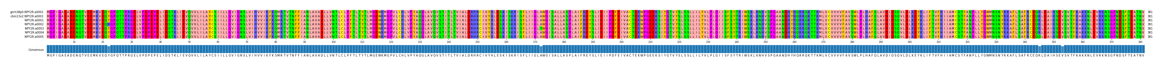 Multiple Alignments (by translate haplotype frequency)