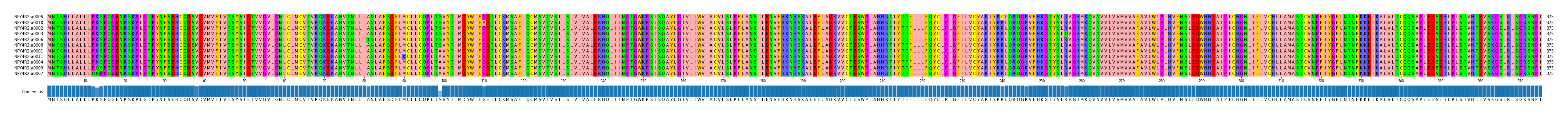 Multiple Alignments (by translate haplotype similarity)