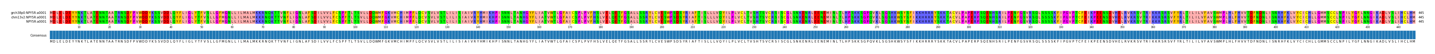 Multiple Alignments (by translate haplotype similarity)