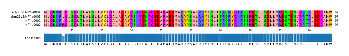 Multiple Alignments (by translate haplotype similarity)