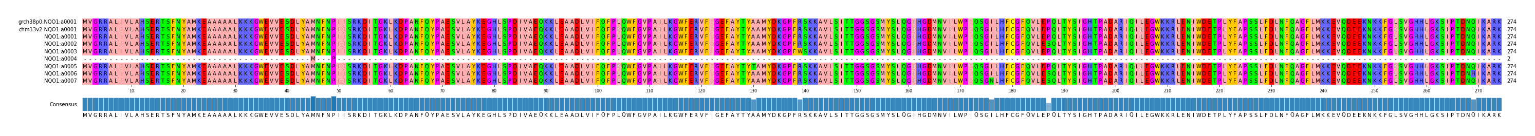 Multiple Alignments (by translate haplotype frequency)