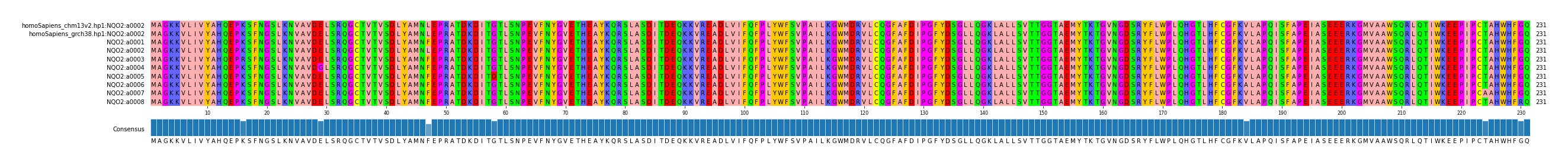 Multiple Alignments (by translate haplotype frequency)