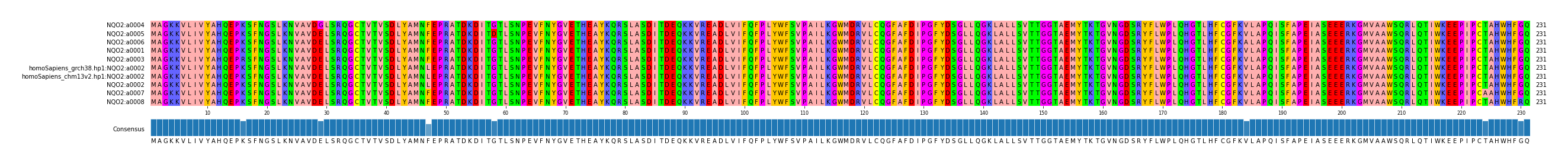 Multiple Alignments (by translate haplotype similarity)
