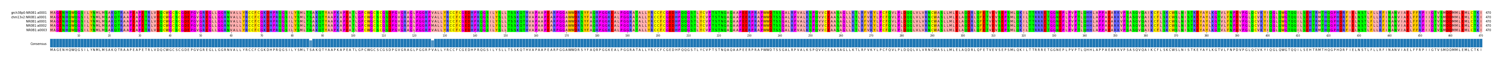 Multiple Alignments (by translate haplotype frequency)