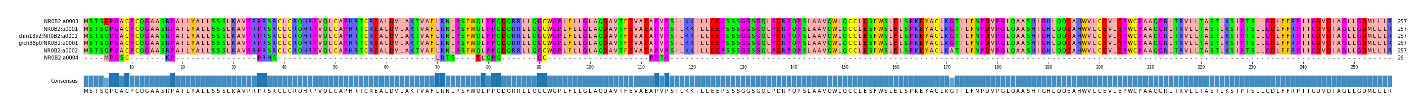 Multiple Alignments (by translate haplotype similarity)