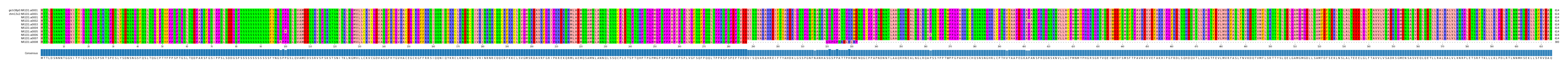 Multiple Alignments (by translate haplotype frequency)
