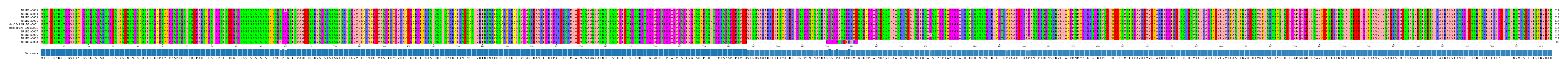Multiple Alignments (by translate haplotype similarity)
